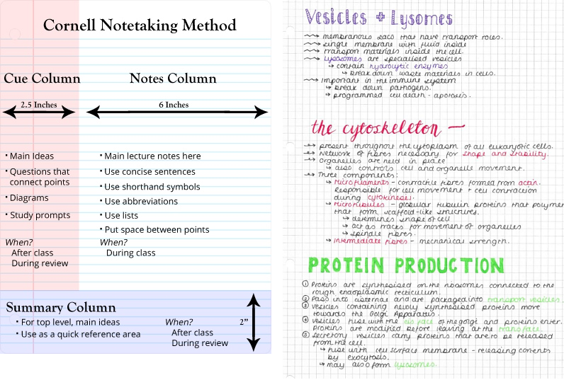 /2019-08-29-3-fatal-reasons-why you-shouldn't-be-taking-notes-when-studying/images/two_notes.png